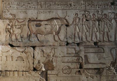 Relief, Tempel von Ramses II, Abydos, Ägypten, ägyptische Zivilisation, Neues Reich, Dynastie XIX von Egyptian 19th Dynasty