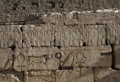 Relief, Tempel von Ramses II, Abydos, Ägypten, ägyptische Zivilisation, Neues Reich, Dynastie XIX von Egyptian 19th Dynasty