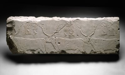 Relieffragment mit den Rindern von König Khufu von Egyptian 4th Dynasty