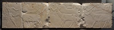 Relief von Männern, die Wüstentiere bringen, ca. 2311-2281 v. Chr. von Egyptian 6th Dynasty