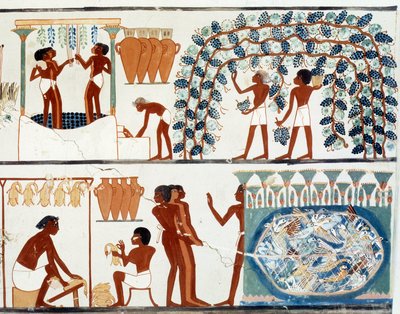 Ägyptische Kunst: Trauben pflücken und stampfen. Nachbildung des Grabes von Nakht, Periode von Amenophis II. (ca. 1450-1425 v. Chr.) Paris, Collège de France von Egyptian Egyptian
