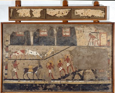 Ägyptische Antiquität: der Transport von Weizen auf dem Rücken von Maultieren und Menschen. Detrempe auf Ton und Stroh aus dem Grab des Generals und Kanzlers von König Iti in El Ghebelen bei Luxor. 2200-2000 v. Chr. Turin, Ägyptisches Museum von Egyptian Egyptian