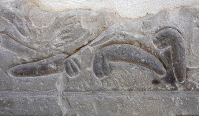 Anhäufungen von abgeschnittenen männlichen Geschlechtsteilen des Feindes, Tempel von Horus, Edfu von Egyptian Egyptian