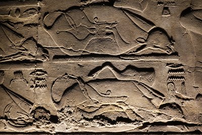 Luxor-Tempel: geopferte Kühe von Egyptian Egyptian