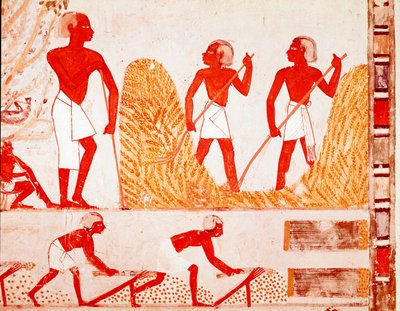 Ernteszene im alten Ägypten (Fresko) von Egyptian Egyptian