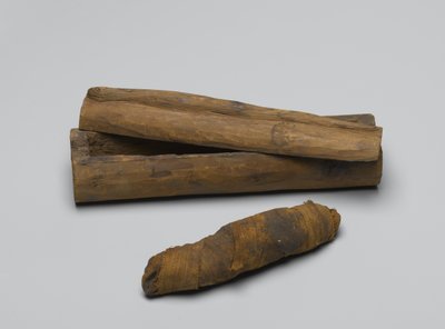 Kleiner Sarg einer Schlange, mit Mumie, 664 v. Chr.-322 v. Chr. von Egyptian School