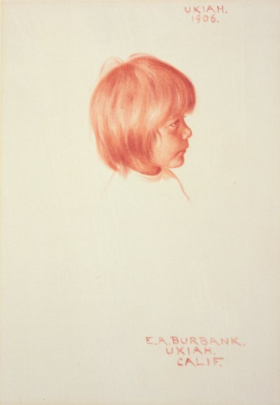 Ukiah von Elbridge Ayer Burbank