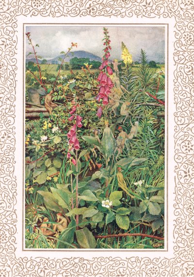 Naues Feen unter Fingerhüten, Illustration aus 