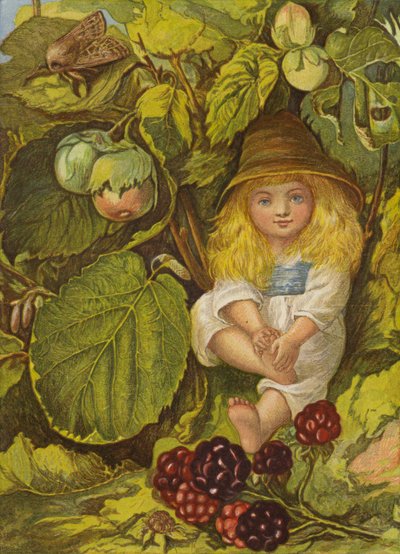 Der Nussbuschlaube (Farblitho) von Eleanor Fortescue Brickdale