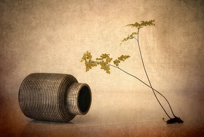 Erdige Vase und Farn von Elena Arjona