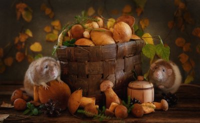 Herbstliche Pilzfreunde von Eleonora Grigorjeva