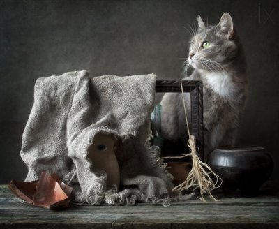 Vintage Stillleben mit Katze von Eleonora Grigorjeva