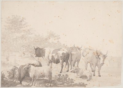 Rinderherde von Elias Martin