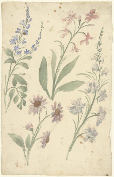 Vier Studien von rosa und blauen Blumen von Elias van Nijmegen