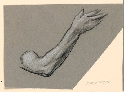 Detail einer Armzeichnung, ca. 1885 von Elihu Vedder