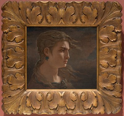 Kopf der Medusa von Elihu Vedder