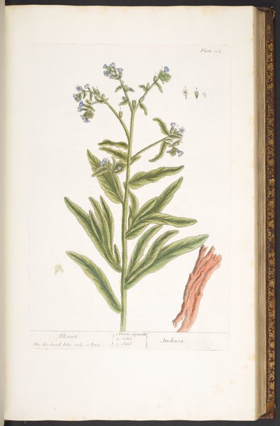 Tafel 112, aus 