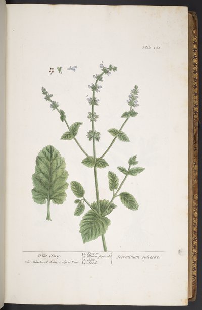 Tafel 258, aus 