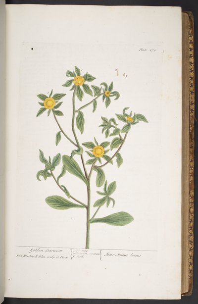 Tafel 272, aus 
