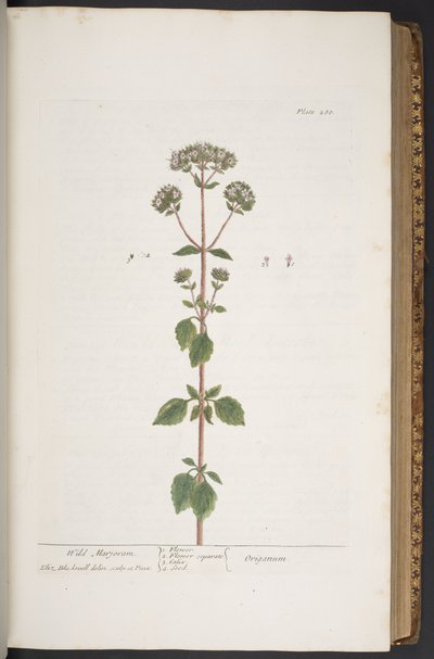 Tafel 280, aus 