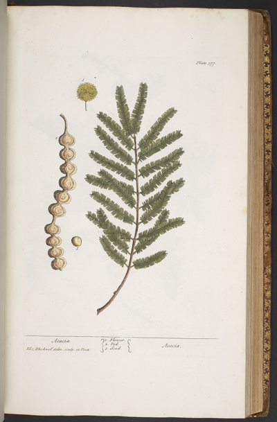 Tafel 377, aus 
