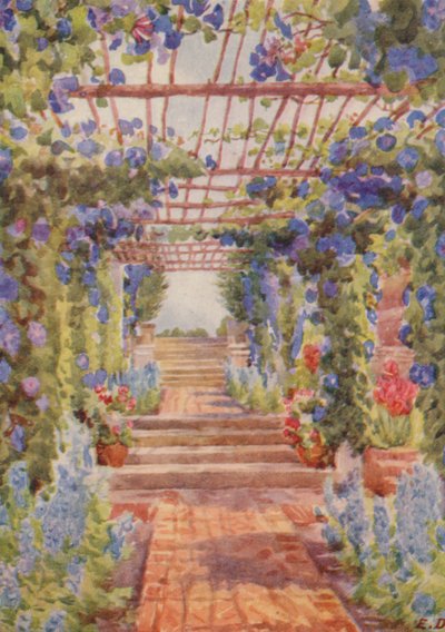 Pergola bedeckt mit blauer Ipomoea Learii de Grendel, Tygerberg von Elizabeth Drake