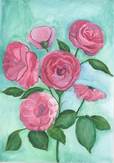 Rosa Rosen von Elizabeth Rider