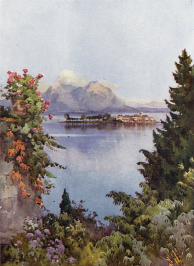 Ein Garten in Baveno, Lago Maggiore von Ella Du Cane