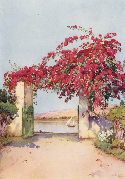 Ein Garten in Luxor von Ella Du Cane
