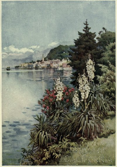 Eine Gruppe von Yuccas, Villa Melzi, Lago di Como, Illustration aus 