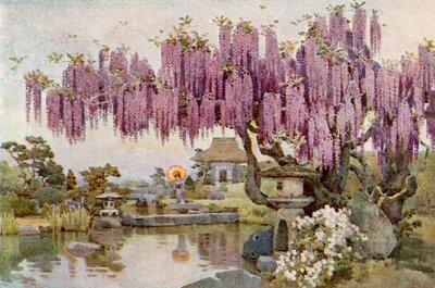 Die alte Wisteria von Ella Du Cane