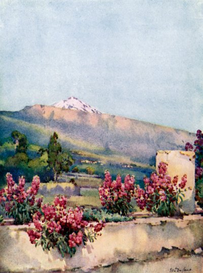Der Gipfel, von Villa Orotava von Ella Du Cane