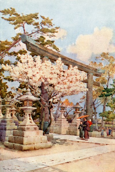 Weiße Kirsche in Kitano von Ella Du Cane