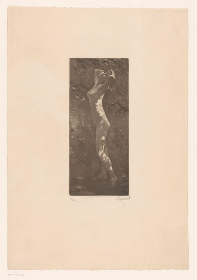 Nackte Frau im Sonnenlicht von Ellinnot (signed by artist)