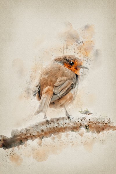 Sanftes Aquarell-Rotkehlchen von Ema Paraschiv