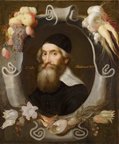 John Tradescant der Ältere, 17. Jahrhundert von Emanuel de Critz