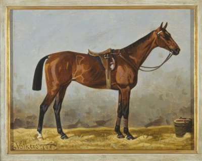 Gesattelter Brauner von Emil Volkers