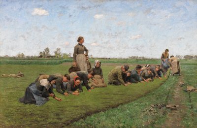 Flachsernte in Flandern von Emile Claus