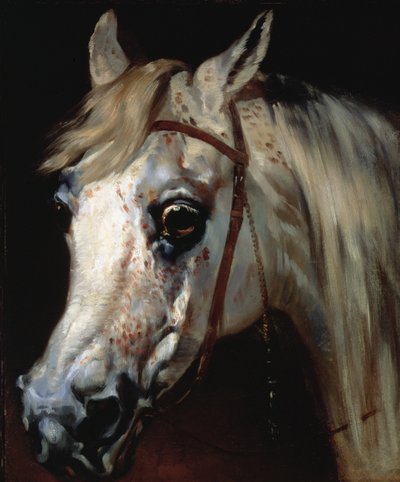Kopf eines arabischen Pferdes, ca. 1840-50 von Emile Jean Horace Vernet