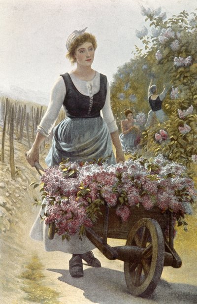 Die Blumenlese von Emile Millochau