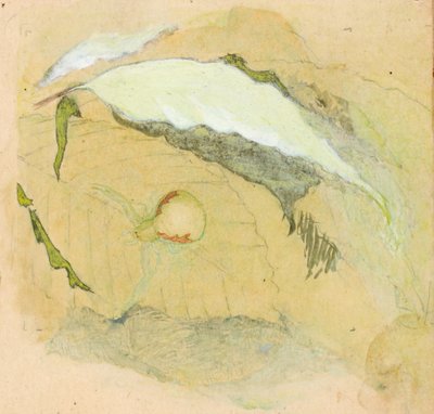 Porzellanweiße Spinne, spätes 19. - frühes 20. Jahrhundert von Emma Beach Thayer