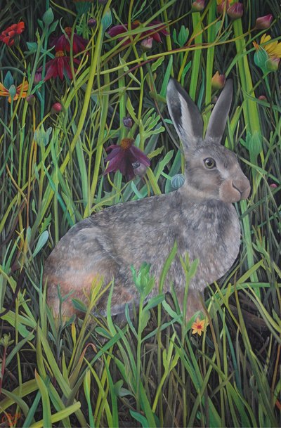 Unter den Wildblumen, 2022 von Emma Pewsey