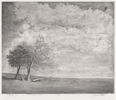 Eine Heide von Emmanuel Phélippes Beaulieu