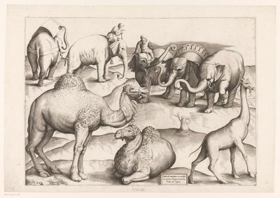 Acht Tiere von Enea Vico (attributed to)