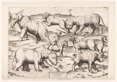 Neun Tiere von Enea Vico (attributed to)