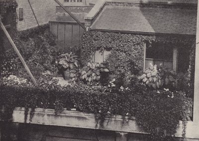 Ein Dachgarten von English Photographer