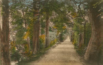 Addisons Walk, Oxford von English Photographer