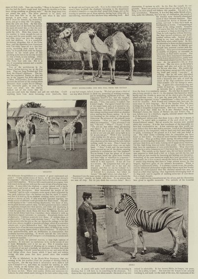 Ein Amateurfotograf im Zoo von English Photographer