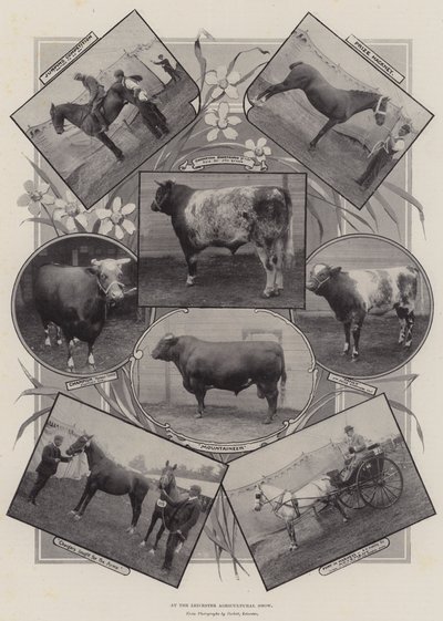 Auf der Landwirtschaftsausstellung in Leicester von English Photographer