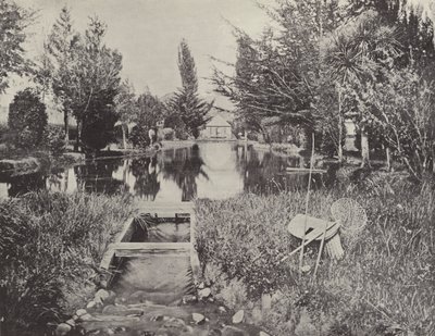 An den Lachsteichen, New Norfolk von English Photographer
